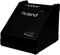Roland PM 10 Personal Drum Monitor Amplifier