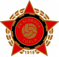 FK Sloboda Novi Kozarci