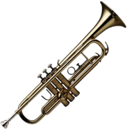 Trumpet Side