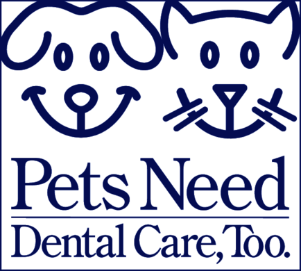Pets_Need_Dental_Care_Too