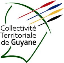 Flag of the territorial collectivity of French Guiana