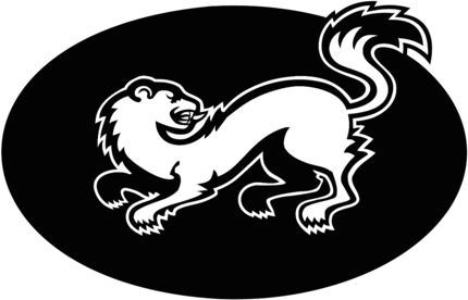 Oulun Kärpät