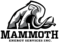 Mammoth Energy Services
