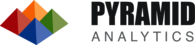 Pyramid Analytics