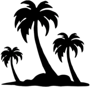 Palm Trees on Island