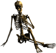 Skeleton Hand In Front Of Chest