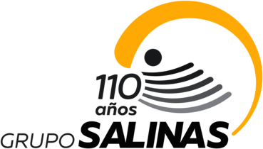 Grupo Salinas