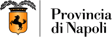 Provincia di Napoli