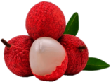 Lychee