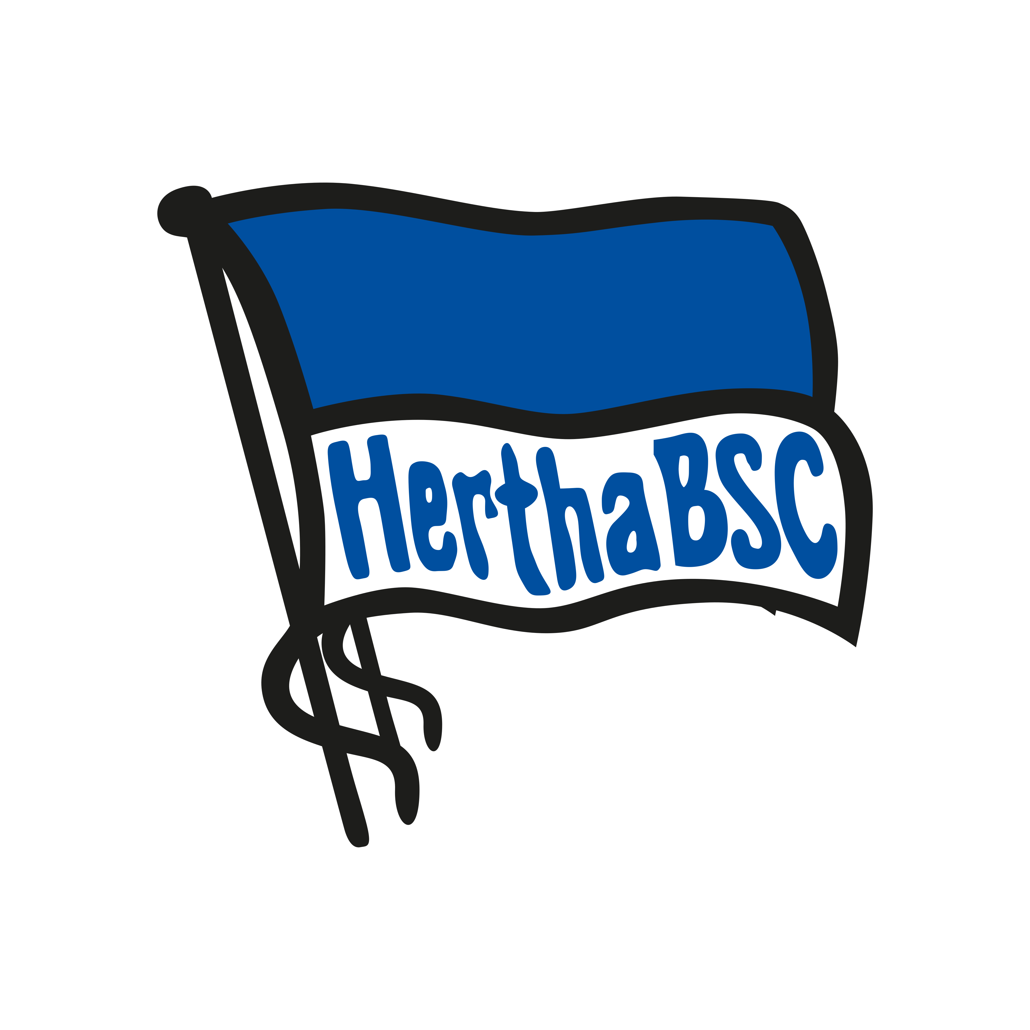 Hertha Bsc