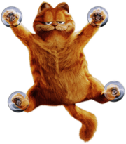 Garfield on A Window