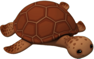 Loggerhead