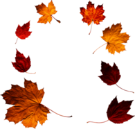 Crown Of Autumn Leaves