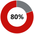 80% Pie Chart Circle