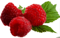 Leaves and Raspberries