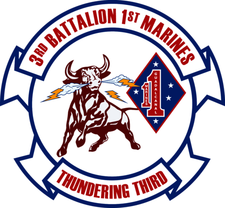 3rd Battalion 1st Marine Regiment USMC