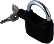Anti Theft Siren Lock