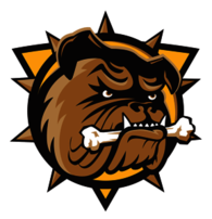 Hamilton Bulldogs 