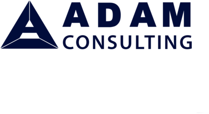 Dubai business advisors