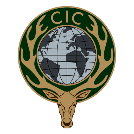 CIC