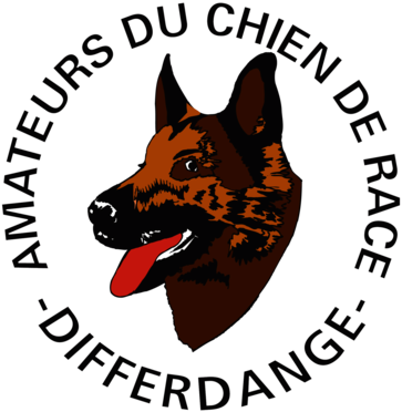 Amateurs du chien race