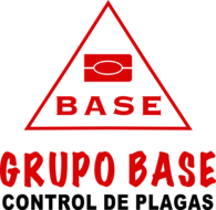 Grupo Base