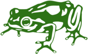 Frog Design