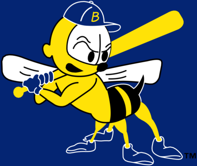 Burlington Bees