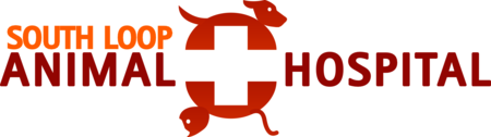South Loop Animal Hospital