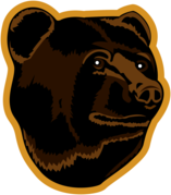 Boston Bruins