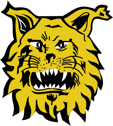 Footbal Club Ilves de Tampere