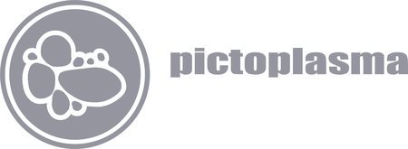 Pictoplasma