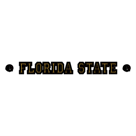 Florida State Seminoles