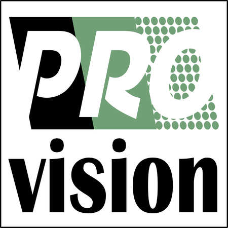 Professional Vision