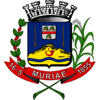 Brasão de Muriaé / MG / Brasil