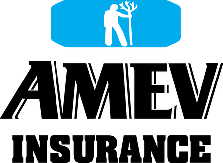 Amev Insurance