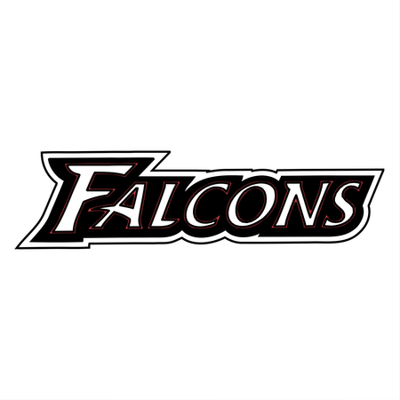 Atlanta Falcons