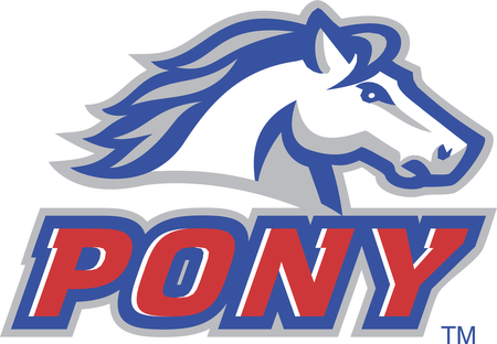 Pony