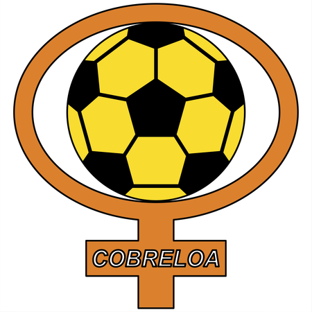Cobreloa 7911