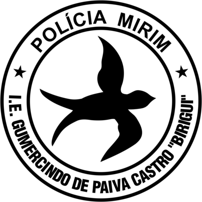 Policia Mirim