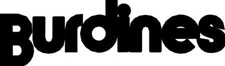 Burdines Dept Stores