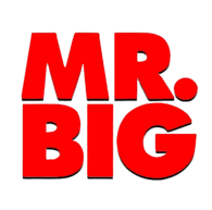 Mr. Big 