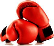 Boxing Gloves Red Duo