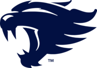 University of Kentucky Wildcat