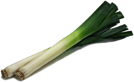 Leek