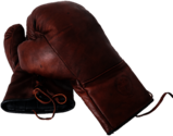 Vintage Boxing Gloves