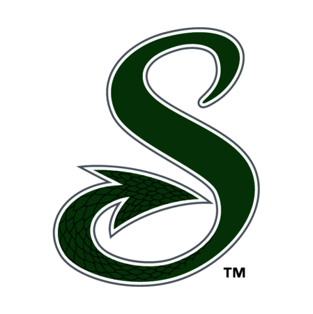 Shreveport Swamp Dragons
