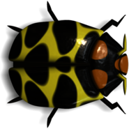 Ladybug Black and Yellow