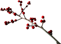 Christmas Branch Decoration