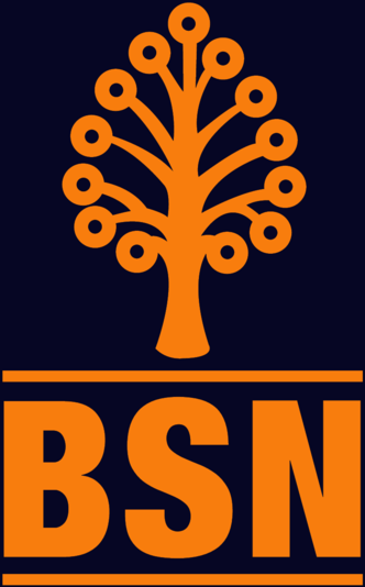 logo bsn